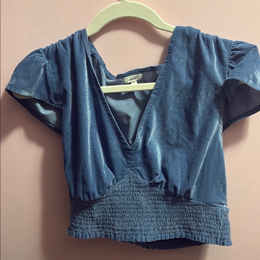 Aerie Blue Puff Sleeve Smocked Crop Blouse